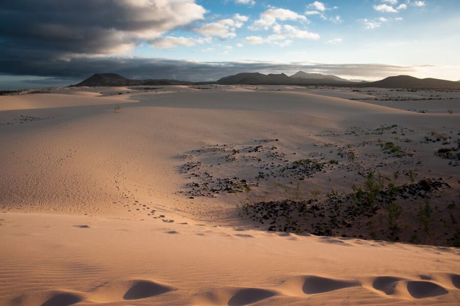 Fuerteventura: Dune Buggy Tour in Northern Fuerteventura - Who should book this, and who might be happier elsewhere