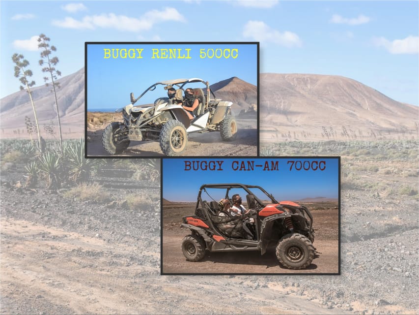 Fuerteventura: Dune Buggy Tour in Northern Fuerteventura - Why northern Fuerteventura is ideal for a dune buggy