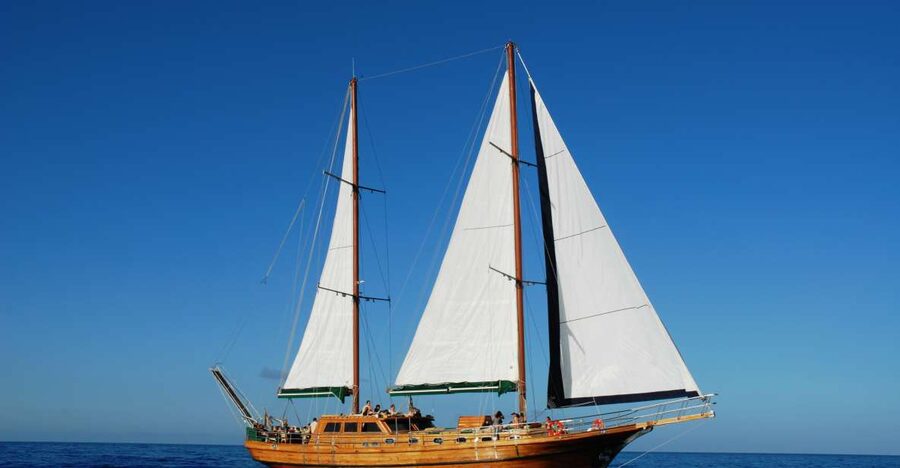 Fuerteventura: Exclusive Turkish Gulet Cruise with Lunch - Key Points at a Glance
