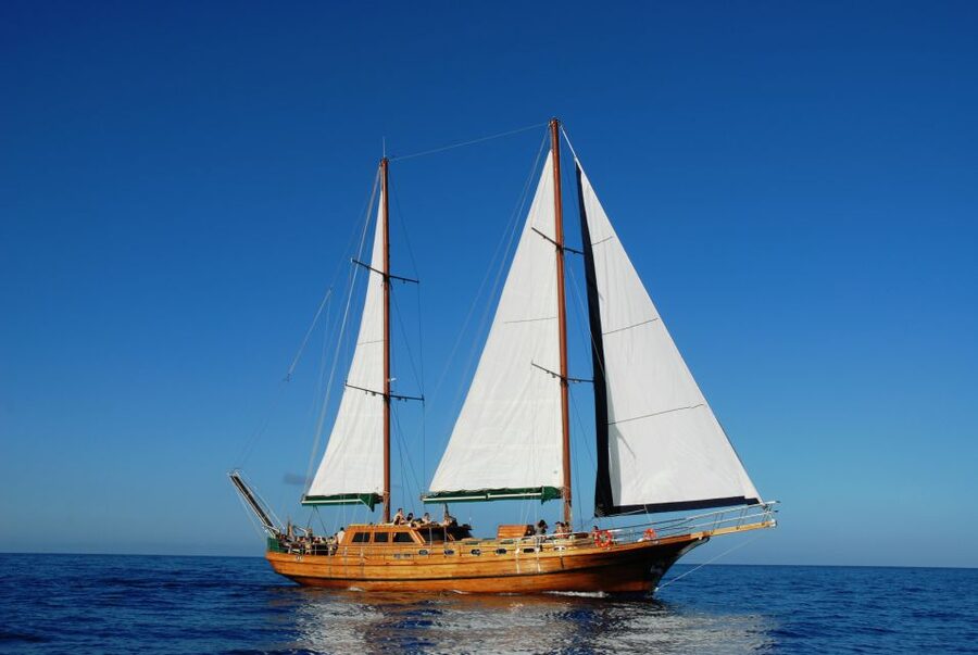 Fuerteventura: Exclusive Turkish Gulet Cruise with Lunch - Morro Jable Meeting Point and Pickup: How to Get There Without Stress
