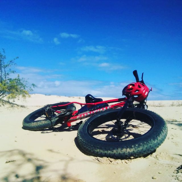 Fuerteventura: Explore the Area with a Bike Rental - Choosing Your Route: Park Trails vs. Beach Time