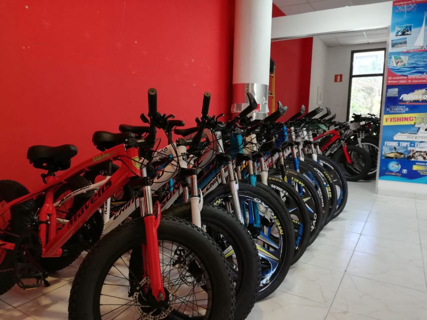 Fuerteventura: Explore the Area with a Bike Rental - Beach Rides You Can Adjust Mid-Day