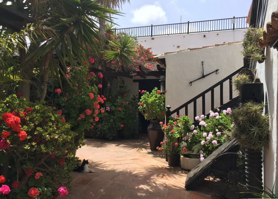 Fuerteventura: Full Day Tour with Lunch - Key things that make this tour worth your day