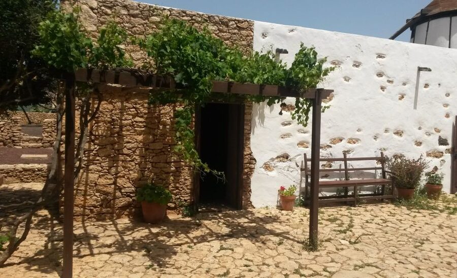 Fuerteventura: Full Day Tour with Lunch - A full-day loop from Jandía and Costa Calma (and why 8 hours works)