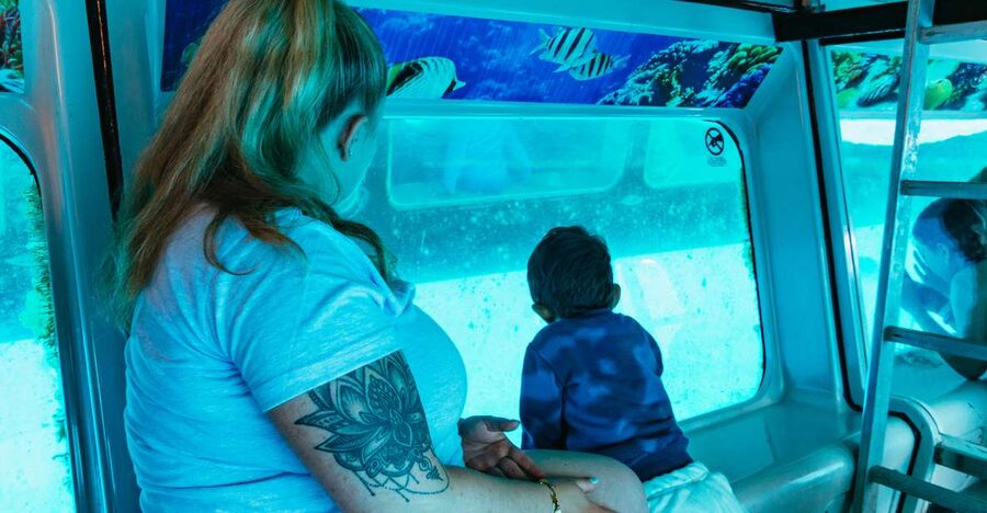 Fuerteventura: Glass Bottom Boat Cruise with Lunch & Drinks - Janía Natural Park Wildlife Search: Dolphins, Whales, and What to Do With No Guarantee