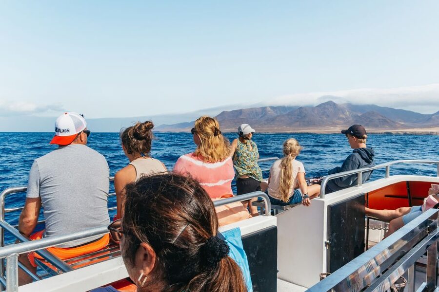 Fuerteventura: Glass Bottom Boat Cruise with Lunch & Drinks - The Swim Stop: Snorkeling, Kayaking, Paddle Surf, and a Slide for Brave People