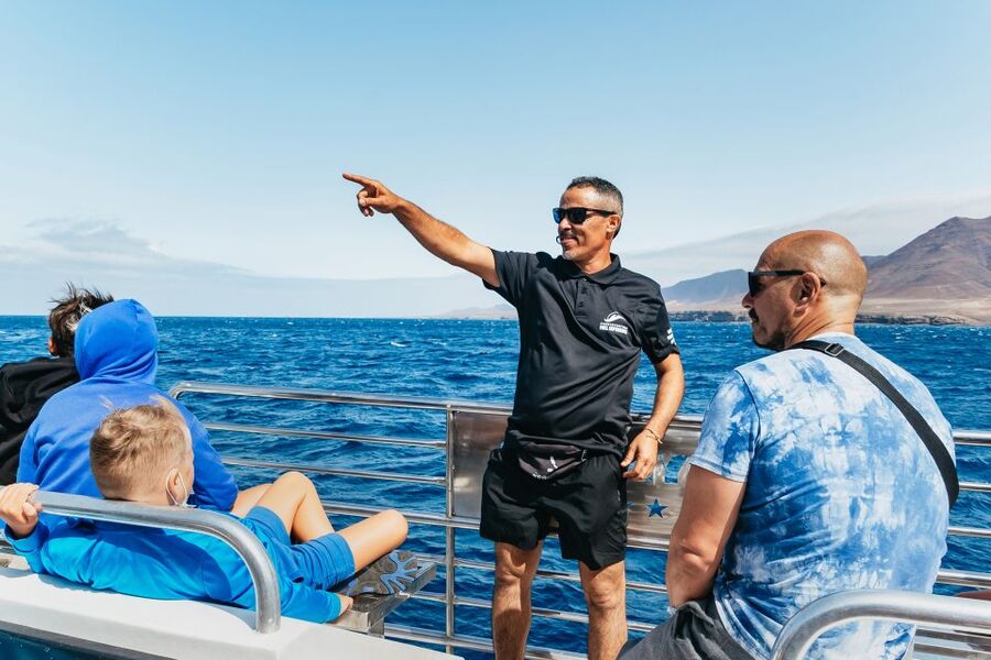 Fuerteventura: Glass Bottom Boat Cruise with Lunch & Drinks - Who This Cruise Is Perfect For (And Who Might Want a Different Day)
