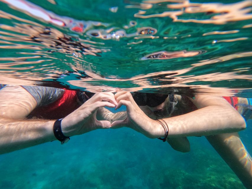 Fuerteventura: Guided Snorkeling in La Lajita with Pickup - Pickup, Briefing, Gear: The Morning Flow in Plain Terms
