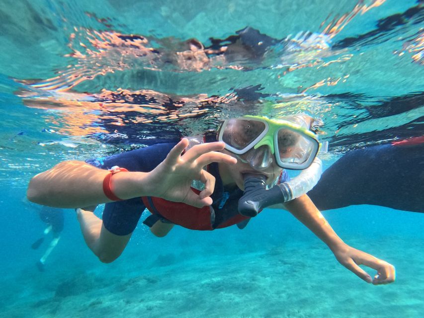 Fuerteventura: Guided Snorkeling in La Lajita with Pickup - Price and Value: Why $46 Often Feels Fair