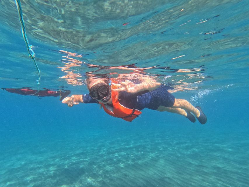 Fuerteventura: Guided Snorkeling in La Lajita with Pickup - What the Guide Actually Teaches (So You’re Not Just Following)