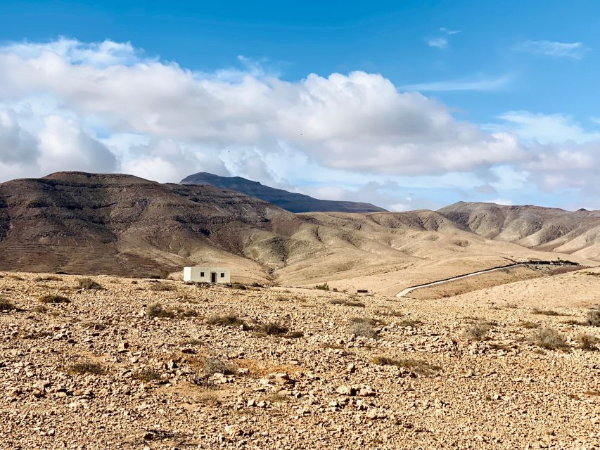 Fuerteventura: Guided Trekking Tour with Island Goats - Corn, Leashes, and That Gentle Animal Rhythm