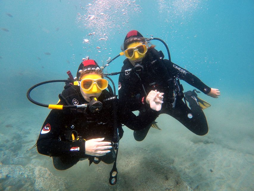 Fuerteventura: Introduction to Scuba Diving - Key things to know before you go