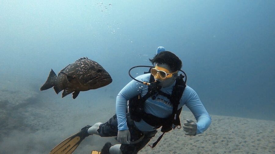 Fuerteventura: Introduction to Scuba Diving - What you’ll see underwater at La Lajita