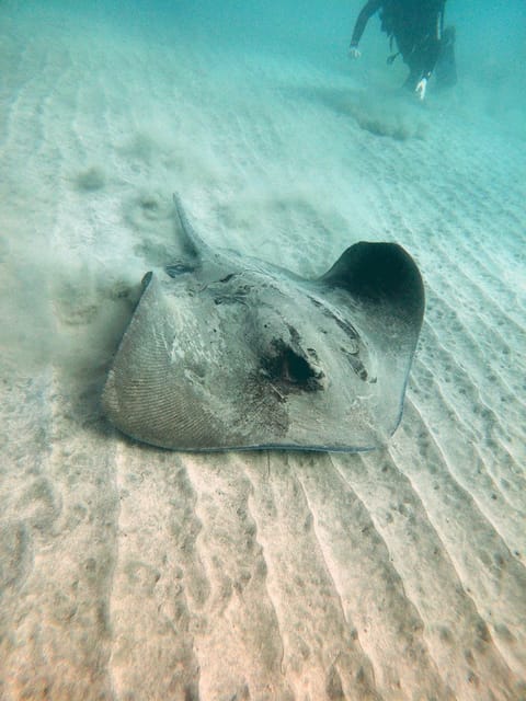 Fuerteventura: Introduction to Scuba Diving - Equipment, what’s included, and the photo/video add-on