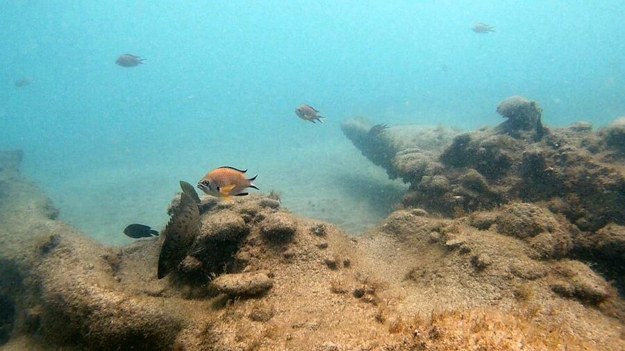 Fuerteventura: Introduction to Scuba Diving - Small group format and instructor care that calms nerves