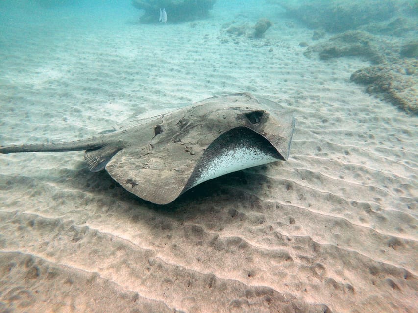 Fuerteventura: Introduction to Scuba Diving - What kind of value you’re paying for at about $100