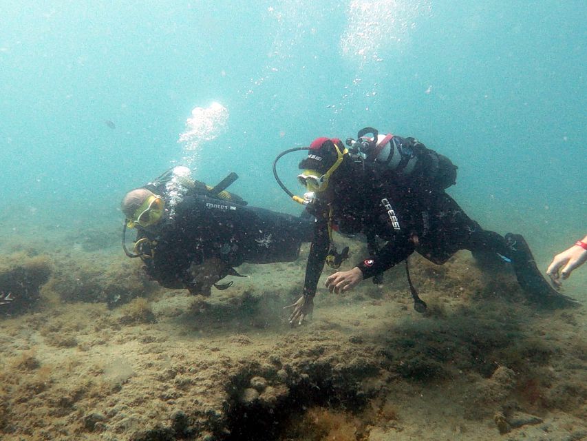 Fuerteventura: Introduction to Scuba Diving - Should you book this Fuerteventura beginner scuba session?