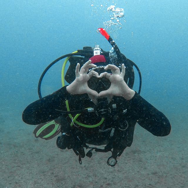 Fuerteventura: Introductory Dive in La Lajita with Pickup - The 30-Minute Training That Actually Helps