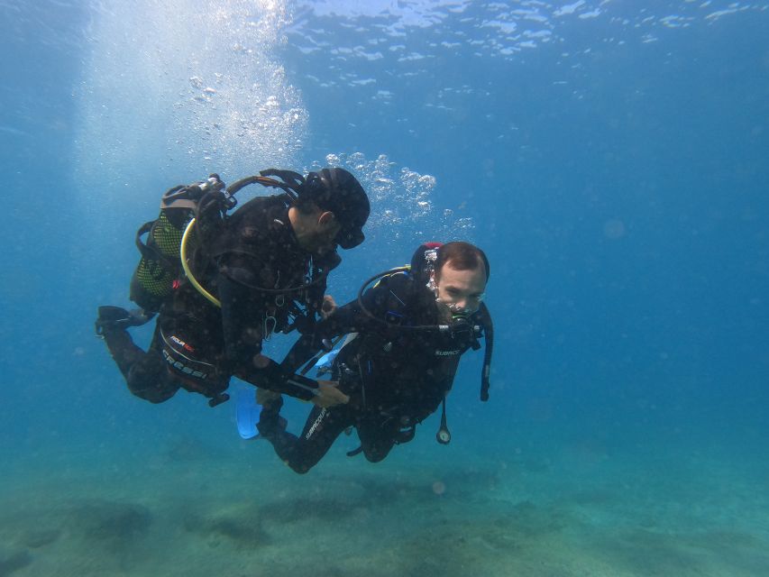 Fuerteventura: Introductory Dive in La Lajita with Pickup - Instructor Style: Why Jordi and Melanie Keep Coming Up