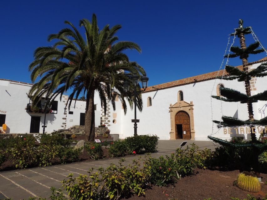 Fuerteventura: Island Highlights Guided VIP Sightseeing Tour - Corralejo Natural Park and the miradors: quick hits of big scenery