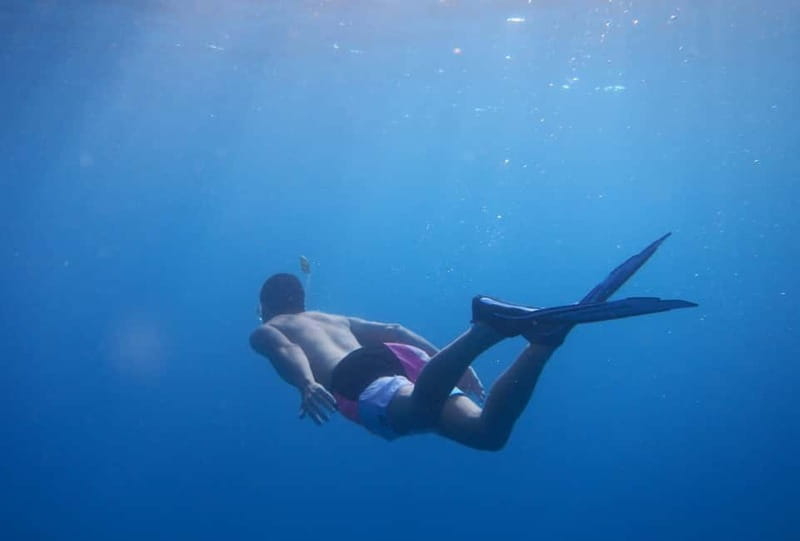 Fuerteventura: Lobos Island Catamaran Cruise with Lunch - Key points at a glance