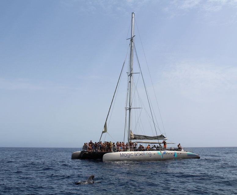 Fuerteventura: Magic Catamaran Trip with Food and Drinks - Magic Select Vibes: Crew Names, DJ Energy, and Getting Involved