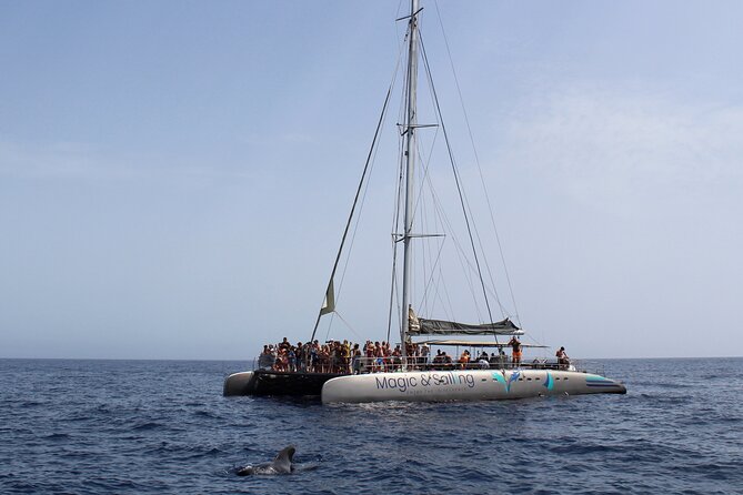 Fuerteventura: Magic Select Catamaran Trip with Food & Drinks - Crew energy: music, dancing, and names to look for
