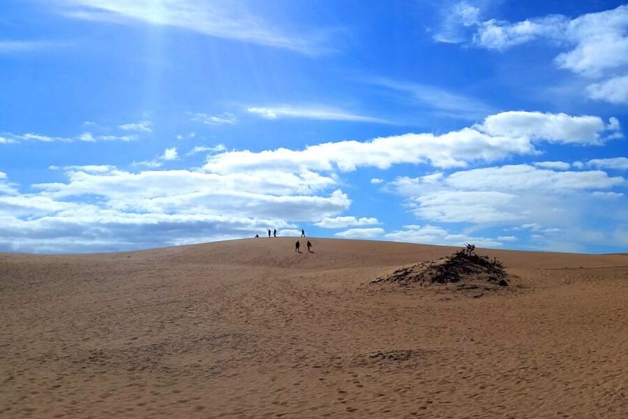 Fuerteventura: Panoramic Tour - Eastern coast drive: Puerto del Rosario, volcano country, and desert roads