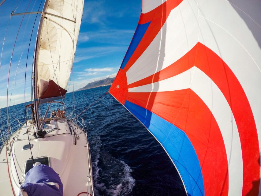 Fuerteventura: Sailing with Snorkeling and Dolphin Watching - Who this yacht cruise fits best in your Fuerteventura plans
