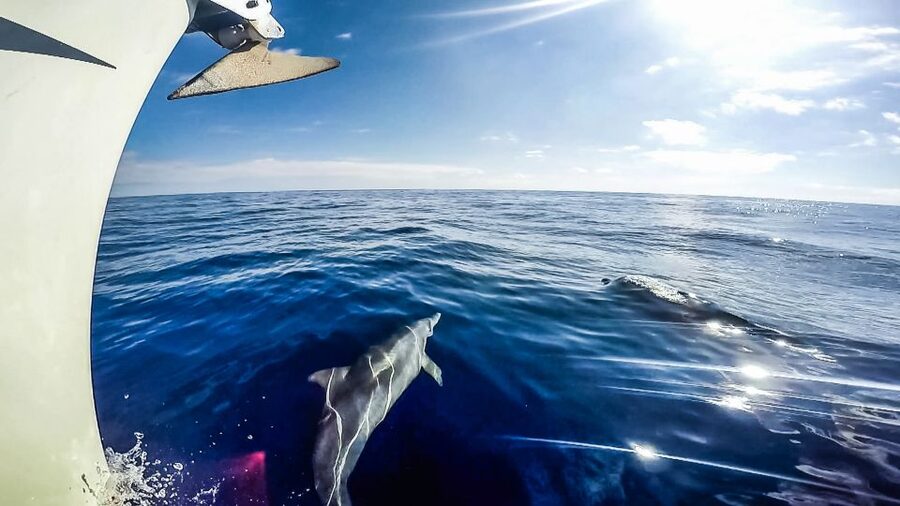 Fuerteventura: Sailing with Snorkeling and Dolphin Watching - Route timing and the weather reality: what if it feels hazy or windy