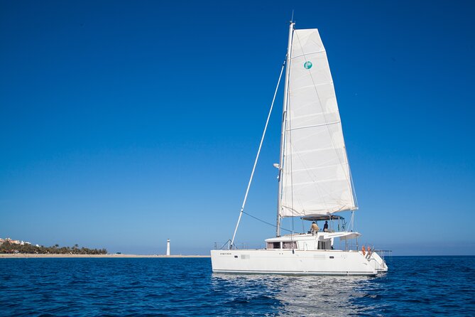 Fuerteventura: Small-Group Magic Deluxe Catamaran Cruise - Where you meet in Morro Jable (and why 30 minutes matters)