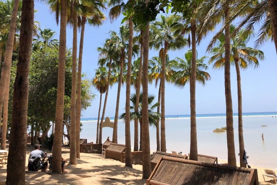 Fuerteventura South Full-Day Tour - Who This Tour Suits Best (And Who Might Want Another Option)
