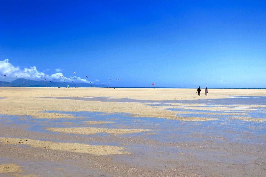Fuerteventura South Full-Day Tour - La Pared and Black-Sand Beaches: Shoreline Drama You Can Walk