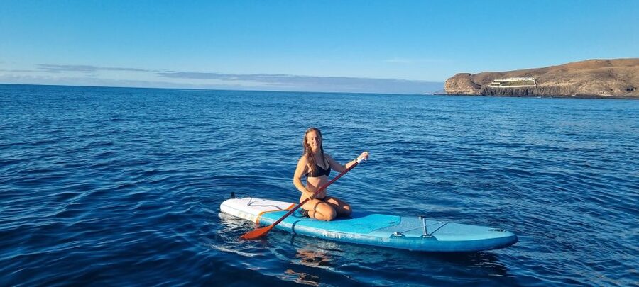 Fuerteventura : Stand Up Paddle - Price and Value for $100: Small Group, Pickup, Gear