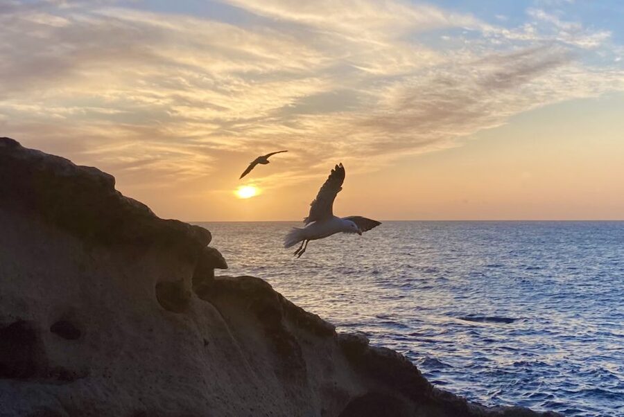 Fuerteventura sunset hike to the wild west coast - A 4-Hour Sunset Hike That Focuses on the West Coast’s Real Drama