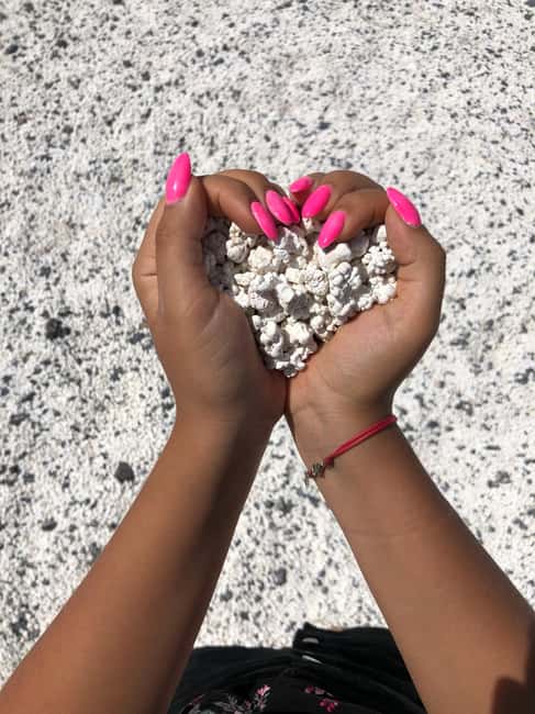 Fuerteventura: Top 5 Instagram Spots Full-Day Tour & Tapas - Key highlights at a glance