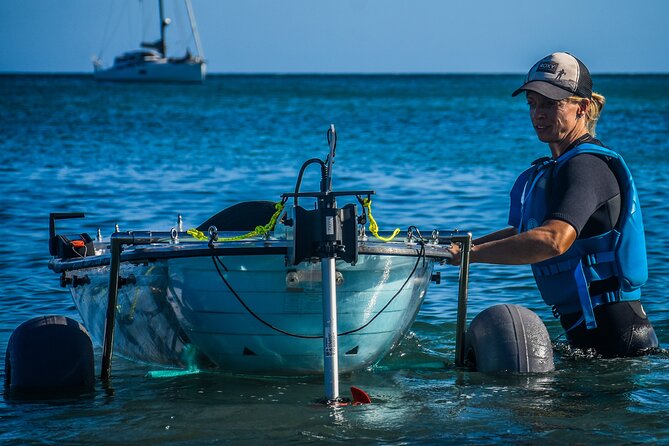 Fuerteventura Transparent Electric Kayaks with Guide - Key things to know before your transparent kayak ride