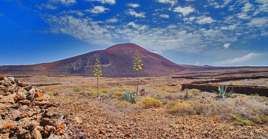 Fuerteventura: Trekking Tour Through the North of the Island - A half-day that fits into real vacation time