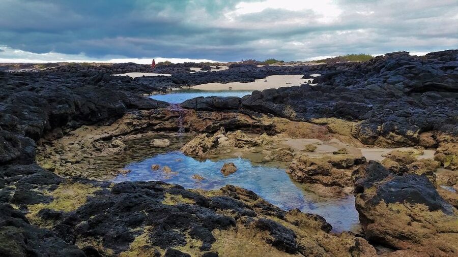 Fuerteventura: Trekking Tour Through the North of the Island - What to bring for a comfy easy trek