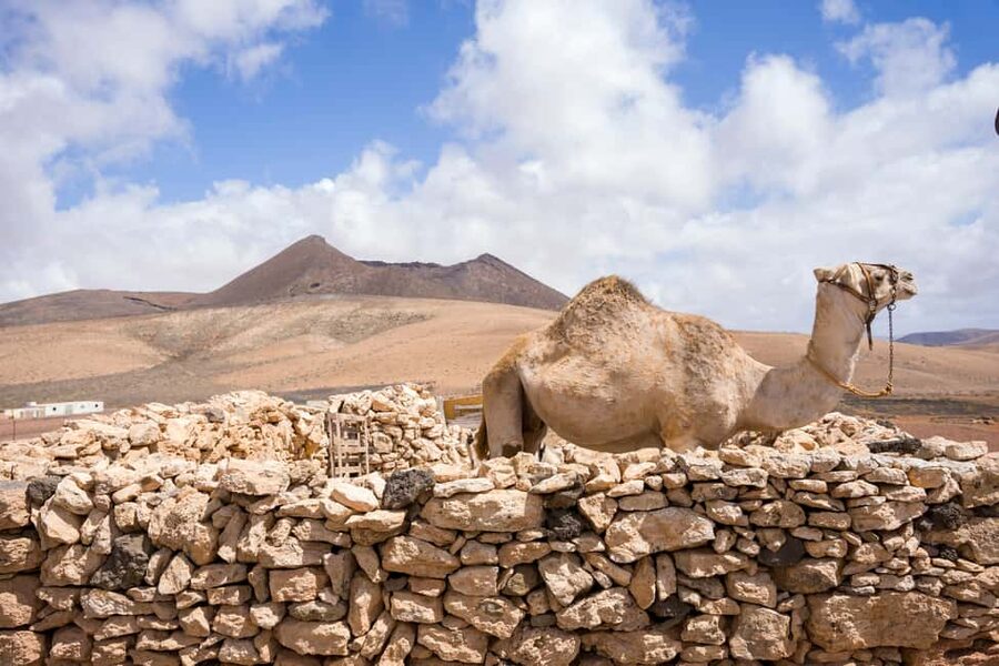 Fuerteventura: volcanic hike to the crater edge - What to pack (and what to leave at home)
