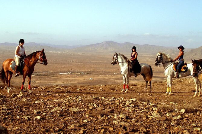 Horseback Riding in Fuerteventura for 1 or 2 hours, Spain - Getting your horse and learning the basics without feeling rushed