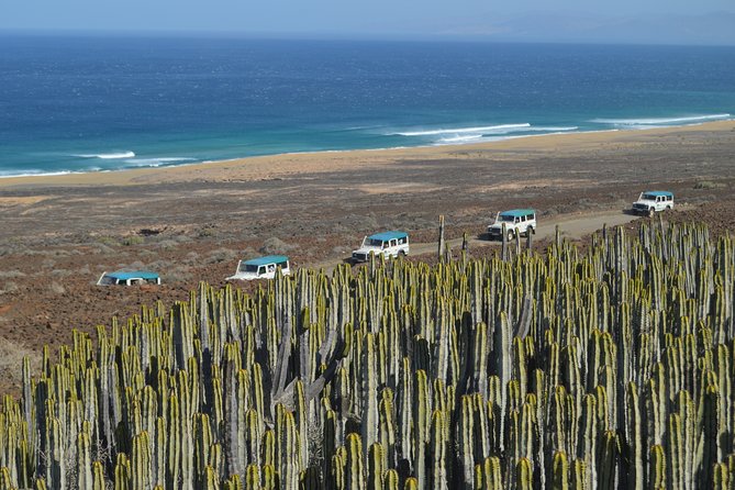 Jeep Tour to Cotillo and Northern Area of Fuerteventura - Why this Corralejo-to-Cotillo Jeep safari feels like real Fuerteventura