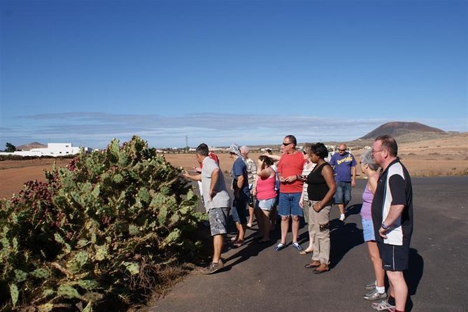 Jeep Tour to Cotillo and Northern Area of Fuerteventura - Stop 2: Villaverde and the agave pitas rope-and-crafts lesson