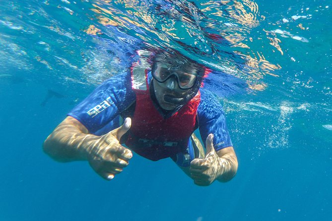 Kayaking and snorkeling - Price and Value: Why $54.31 Can Make Sense Here