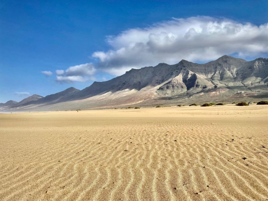 Kingdom Jandia: Cofete Beach & Roque Del Moro - Key highlights to know before you go