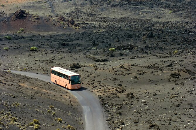Lanzarote Volcano and Wine Region Tour from Fuerteventura - Timanfaya National Park: what one hour really feels like