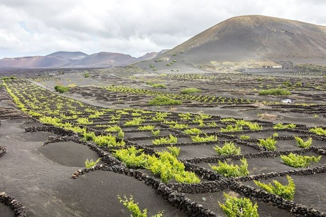 Lanzarote Volcanoes Tour departing from Fuerteventura - What to pack and how to time your day