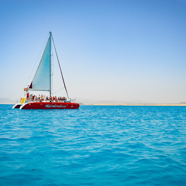 Lobos Island: 4-Hour Catamaran Trip with Lunch - Key highlights worth centering your day around