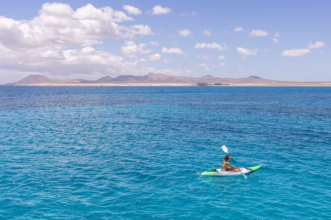 Lobos Island Half-Day Sailing Tour with Lunch - Kayaks and Paddleboards: Fun, But Watch Your Comfort Level
