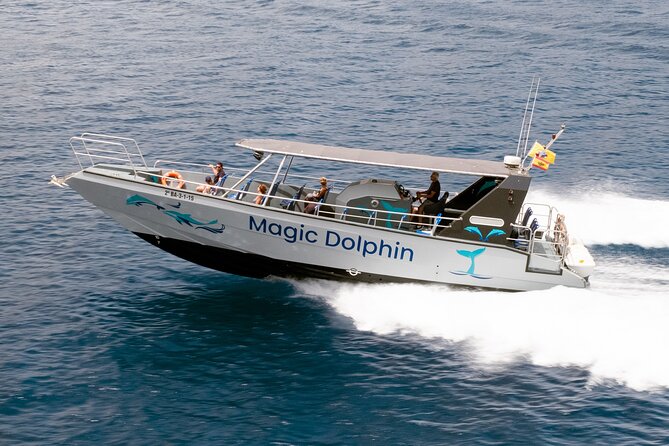Morro Jable: 2 Hours Magic Dolphin & Whale watching with Drinks & Swim Stop. - On-water spotting: what the crew is really doing out there